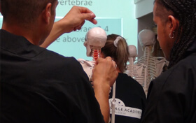 class learning interactive anatomy in massage school.