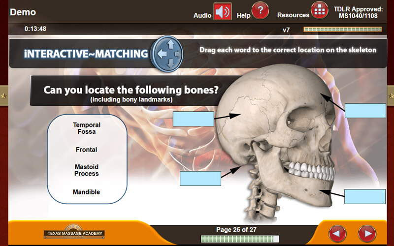 Anatomy and Physiology of massage therapy